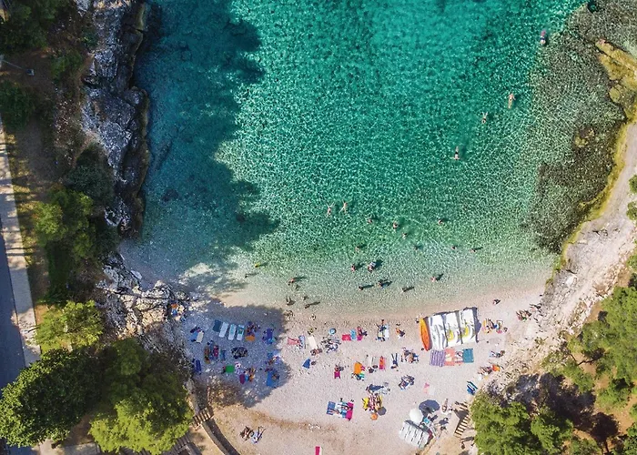 Amazing In Apartment